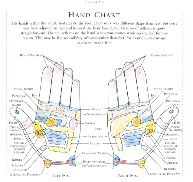 Foot and Ear Reflexology in Puerto Vallarta