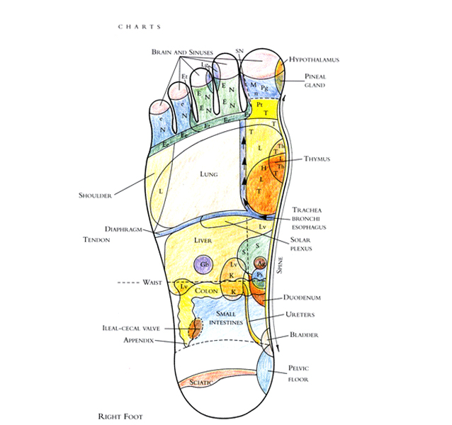 Foot and Ear Reflexology services near me