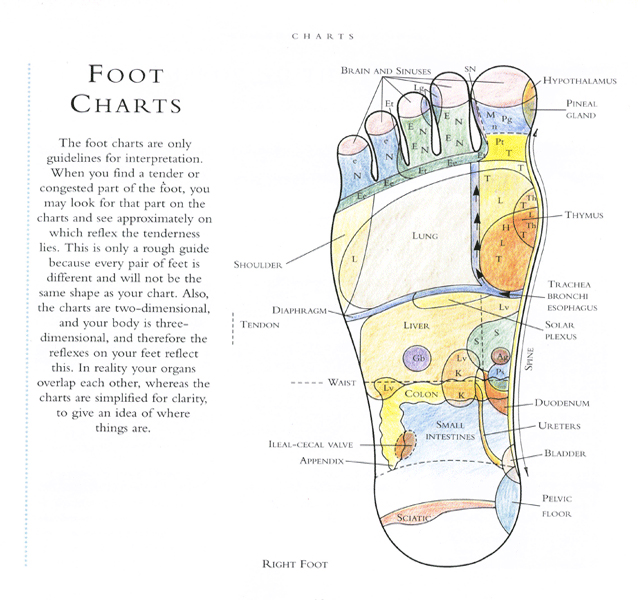 Hand Reflexology Services in Puerto Vallarta